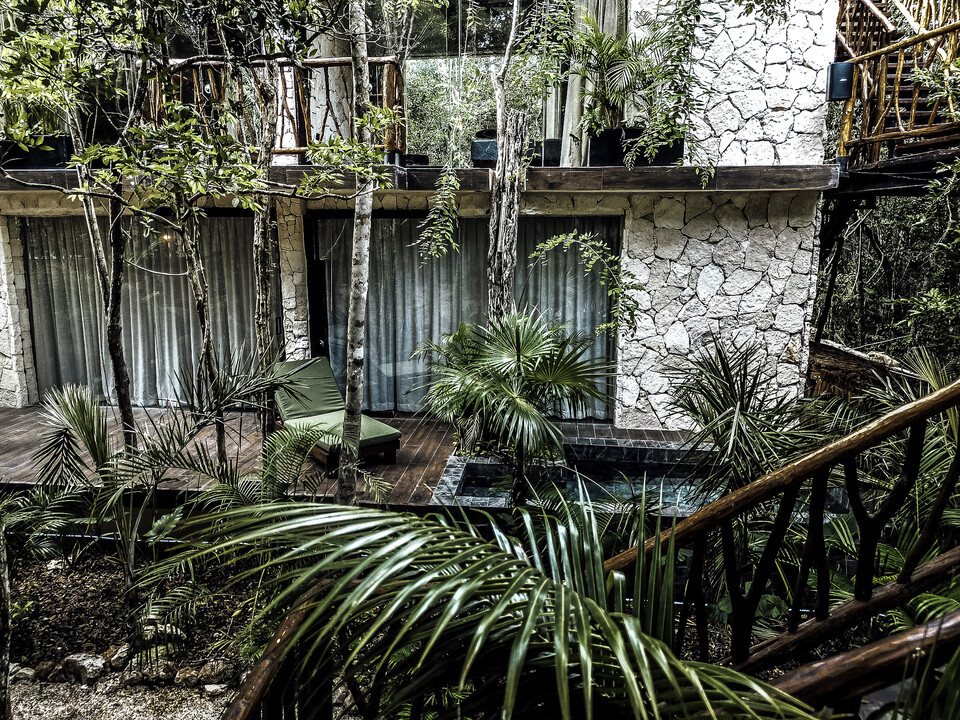 Jungle villas with private terraces and plunge pools